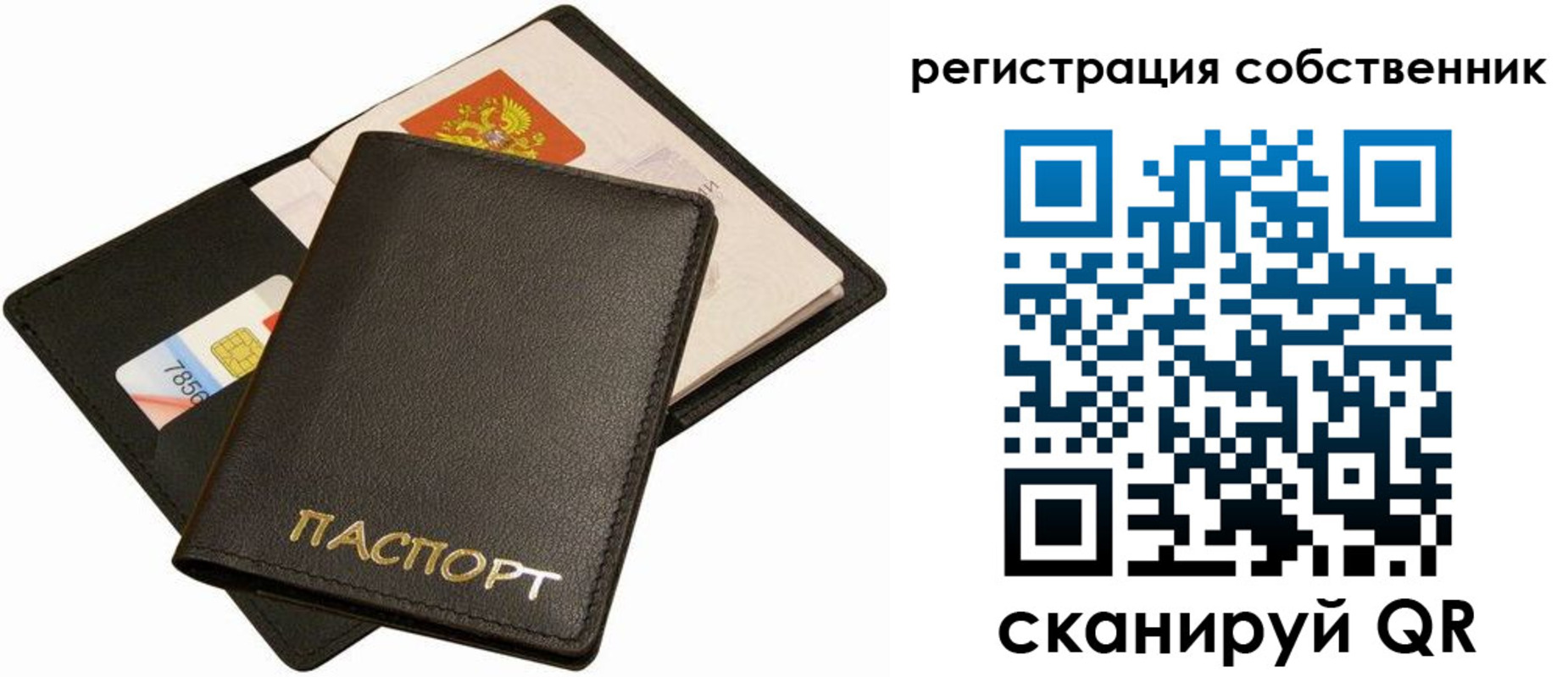 прописка паспорт в Александровске